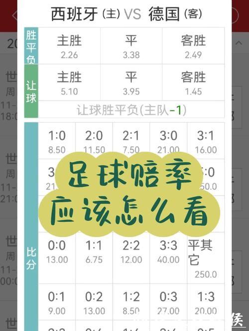 世界杯下注APP:实时赔率随时掌握 世界杯下注APP:实时赔率随时掌握